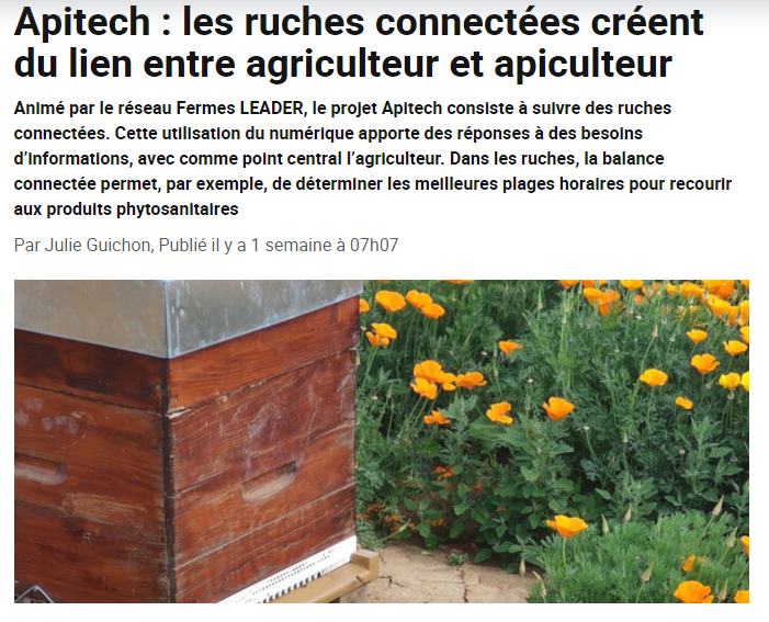 article apitech ruches connectées blog genie.aladin.farm