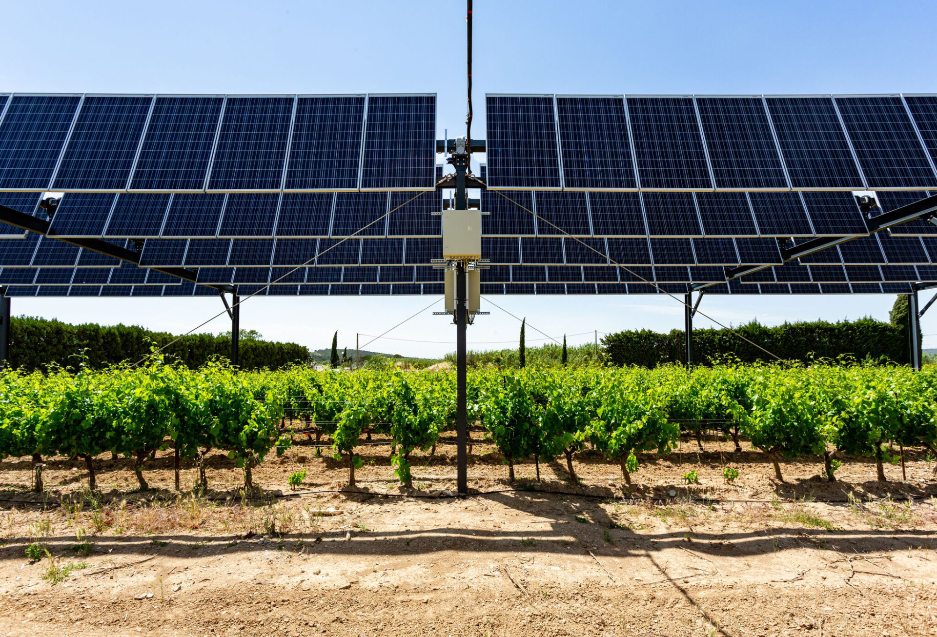 Un projet agrivoltaïque de Sun'Agri obtient le premier label de l