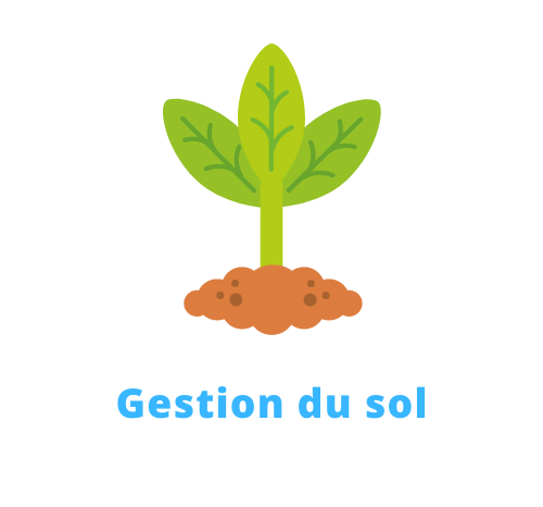 Gestion du sol