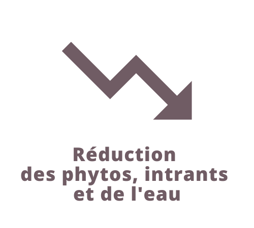 Réduction des phytos, intrants et de l'eau