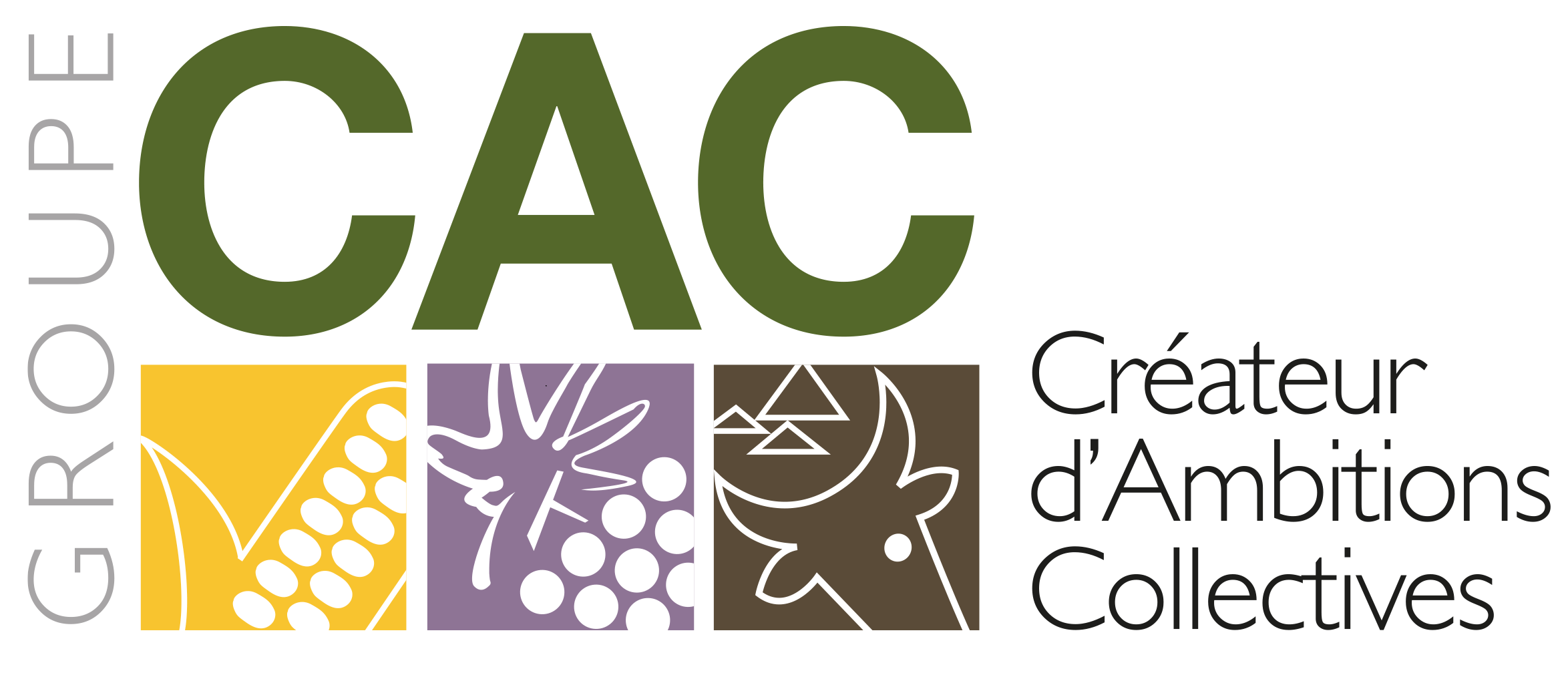 Logo groupe CAC68 Créateur d'ambitions collectives