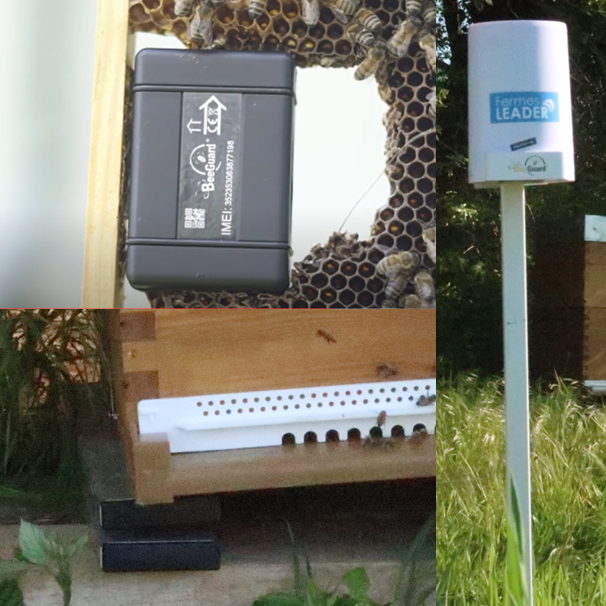 équipements beeguard ruches connectées balance station météo et GPS